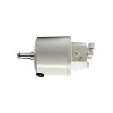 Power Steering Pump HP1975 Shaftec PAS 31280023 36001213 36002445 36002521