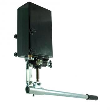 POMPA a Diaframma pressione dell'acqua autoadescanti Interruttore Automatico kit di pressione stabile