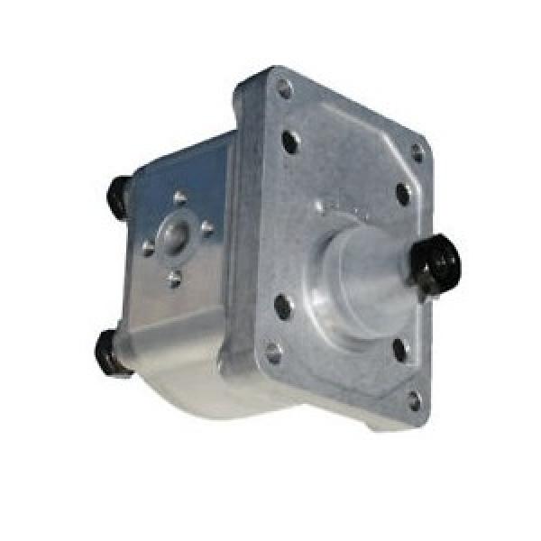 POMPA idraulica camera kit riparazione per adattarsi MF 135,35,35 X, 65, numero OE 1810678m91 #1 image