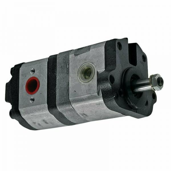 Deutz, Pompa Idraulica 16 Ccm Trattore Hydraulik.filter #1 image