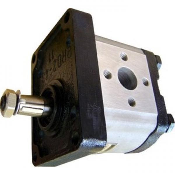 Pompa idraulica per trattore e spaccalegna GR2 C 55 DX #1 image