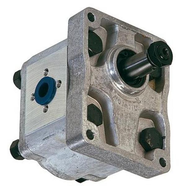 Deutz, Pompa Idraulica 14 Ccm Trattore Hydraulik-Filter #1 image