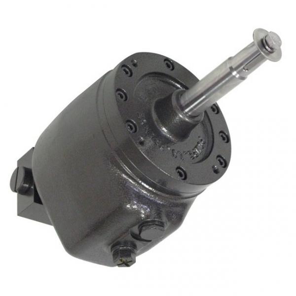 Hydraulic Steering Pump Seal Repair Kit Massey Ferguson 290 390 399 3000 Tractor #1 image