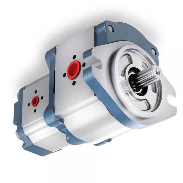 Flowfit Hydraulic Gear Pump, Group 1, 4 Bolt EU Flange #1 image