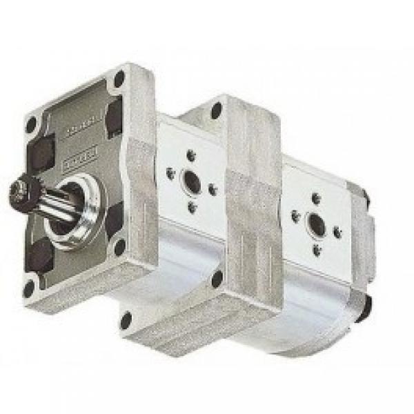 Group 2 E52CX Gear Pump, 8.4cc, Clockwise Rotation with 1/2" BSP Ports #1 image