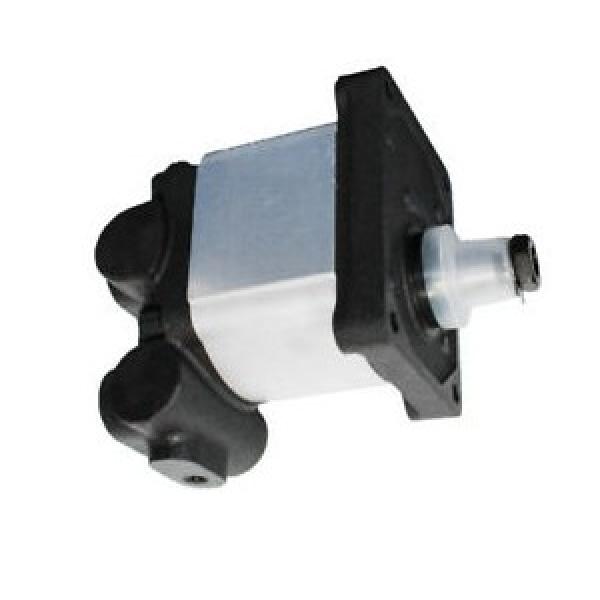 Diener Gear Pump/Micropump® A-Mount Cavity Style Head;316SS body;Peek Gears(026) #1 image