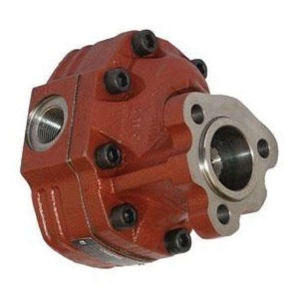 10A(C)6,1X053G Caproni Hydraulic Gear Pump Stage Group 2 Roquet Casappa Motor #1 image