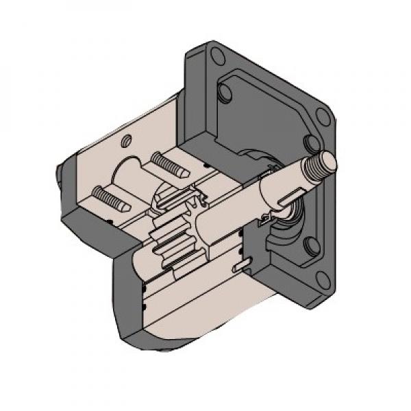 David Brown Hydraulic Gear Pump - R1C4045F3A1C #1 image